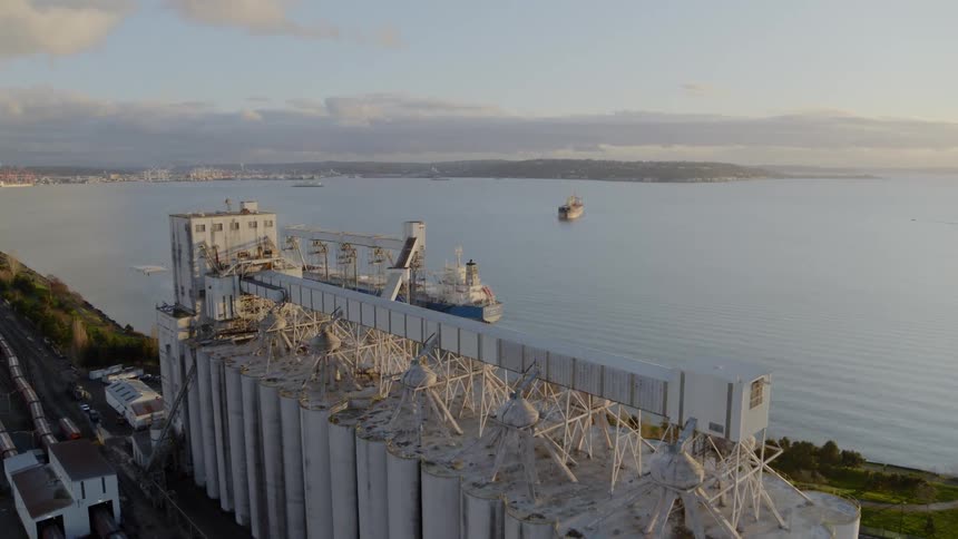 Traverse over the silos of a bulk grain terminal to reveal a cargo ship being loaded
