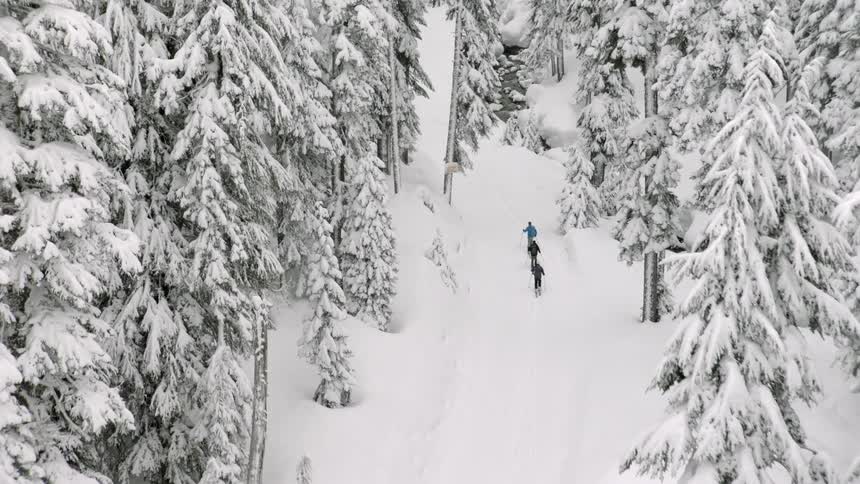 Three people hiking through a snowy forest