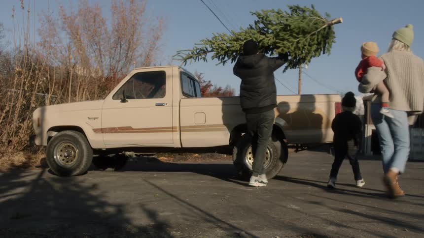 A family of four load a pine tree into the back of a pickup truck