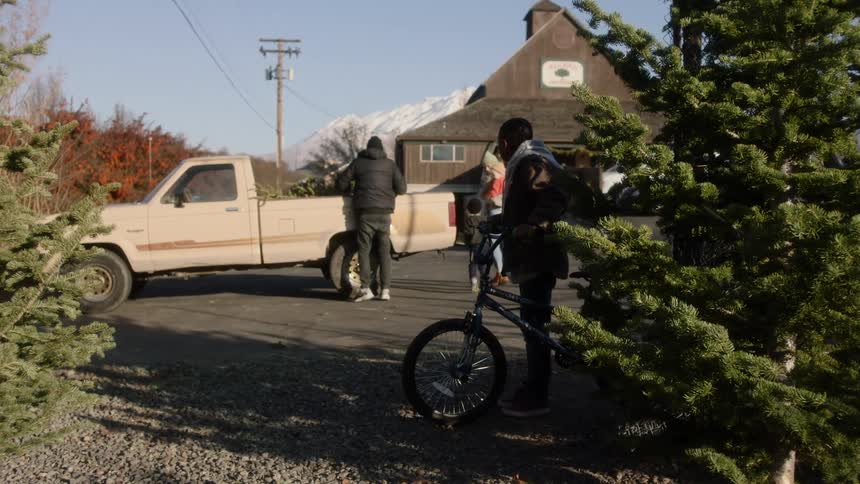A person carries a tree to the truck