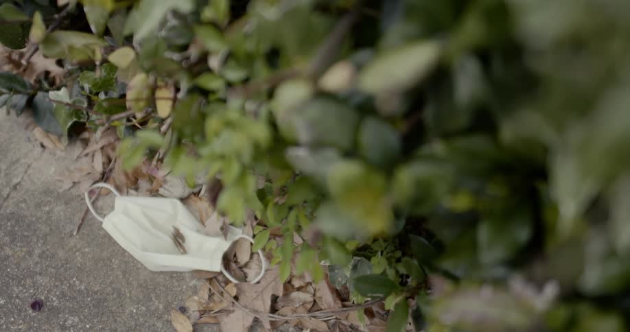 A face mask lying on the ground near a bush
