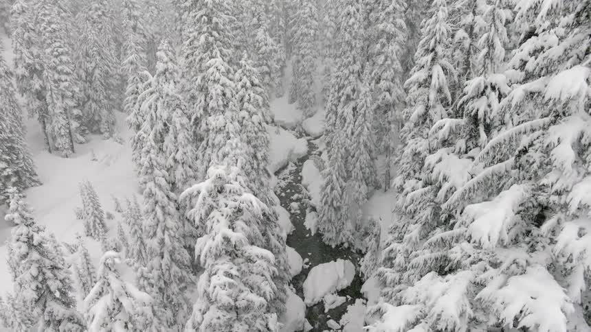 Snow falls on a river cutting through a snowy forest
