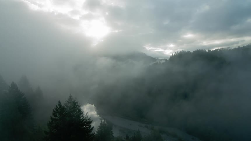 Fog floats over a forest on a cloudy day