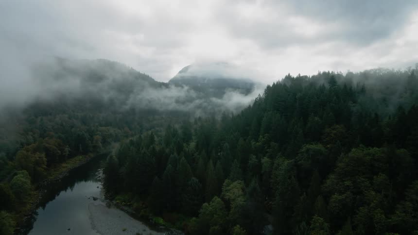 Mists move over pine trees along a river