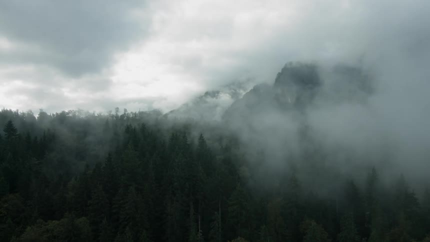 A large forest and mountain is covered in heavy fog