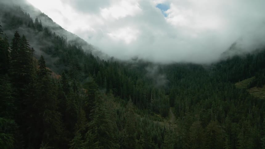 Clouds float over trees in the mountains