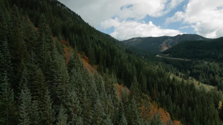 Aerial view of a mountain range covered in trees