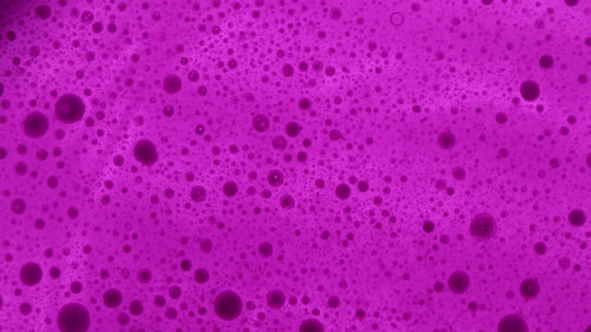 Purple liquid has little bubbles in it