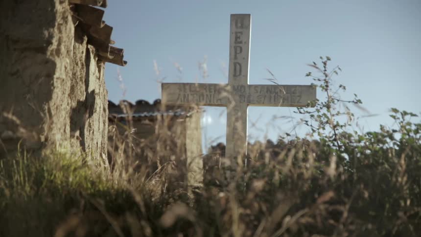 A grave marker in a weedy field
