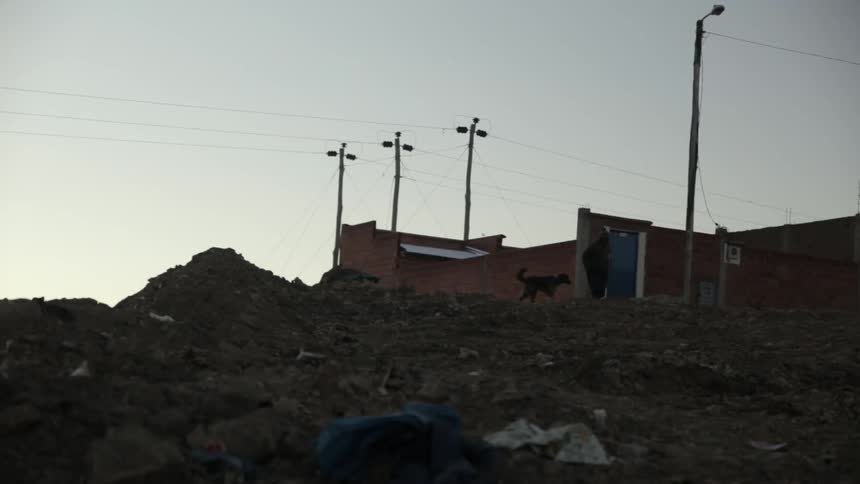 A person walks over a pile of rubble with two dogs