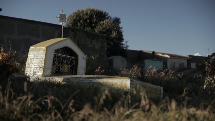 Grass blows in the wind at a cemetery