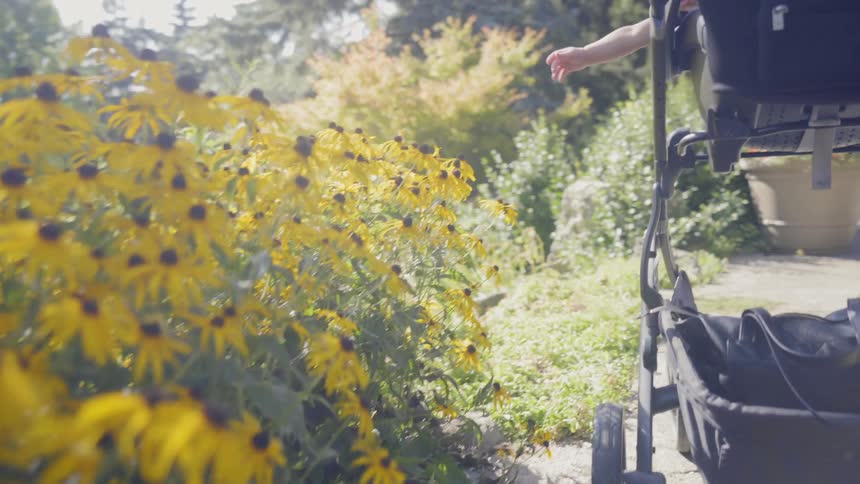 A woman looks at flowers