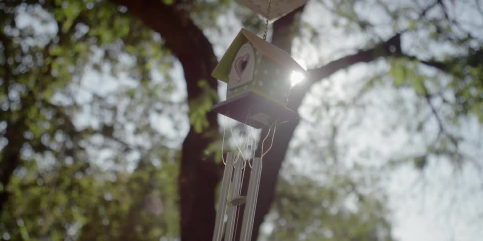 Wind chime hanging in front of large tree in daytime