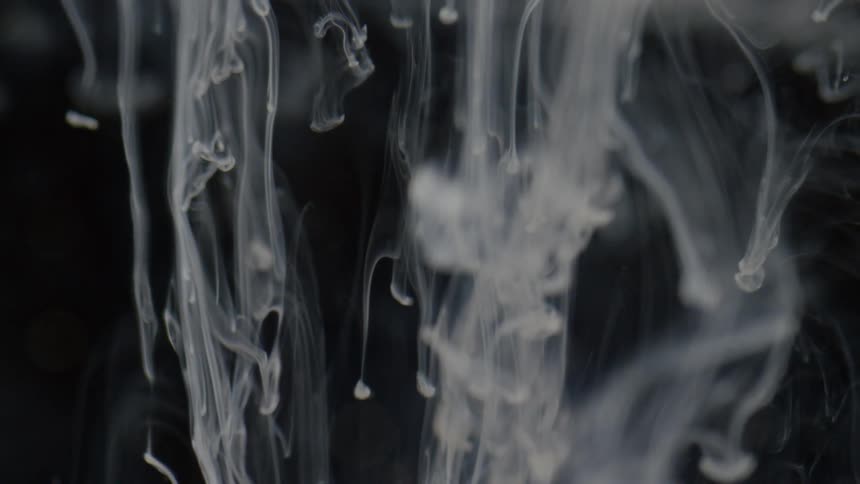 A lighter colored liquid descends and diffuses within another clear liquid