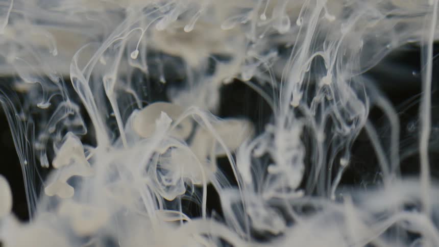 Abstract footage of white liquid moving in clear liquid