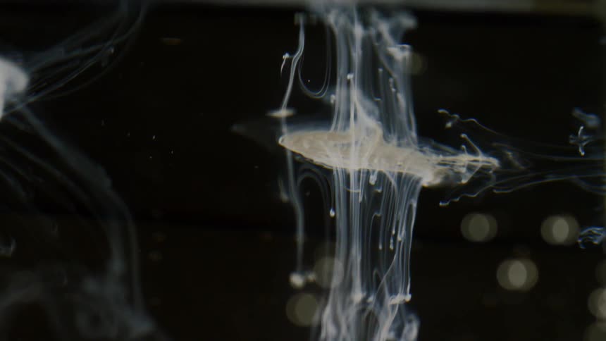 White colored liquid swirling through water