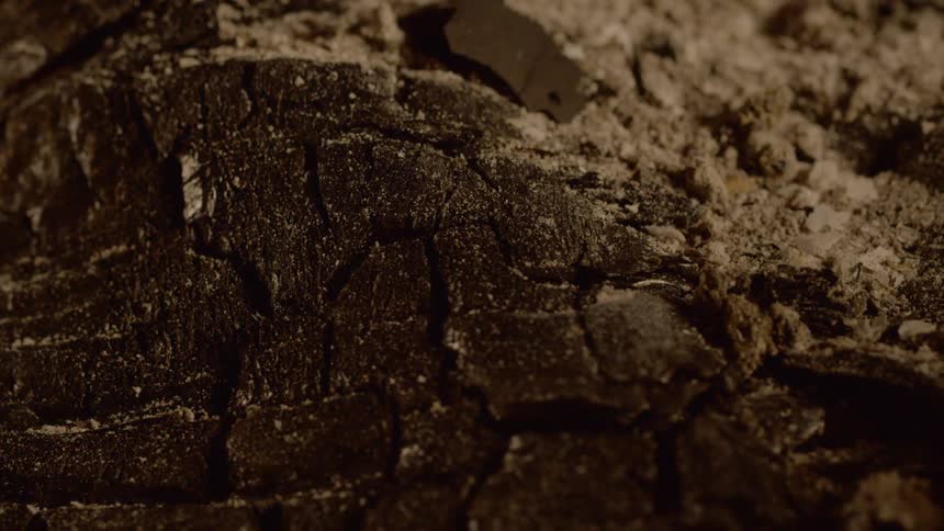 The wind blows flakes and grains of dirt on the ground