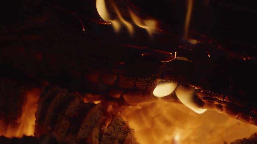 Close up of wood burning on campfire