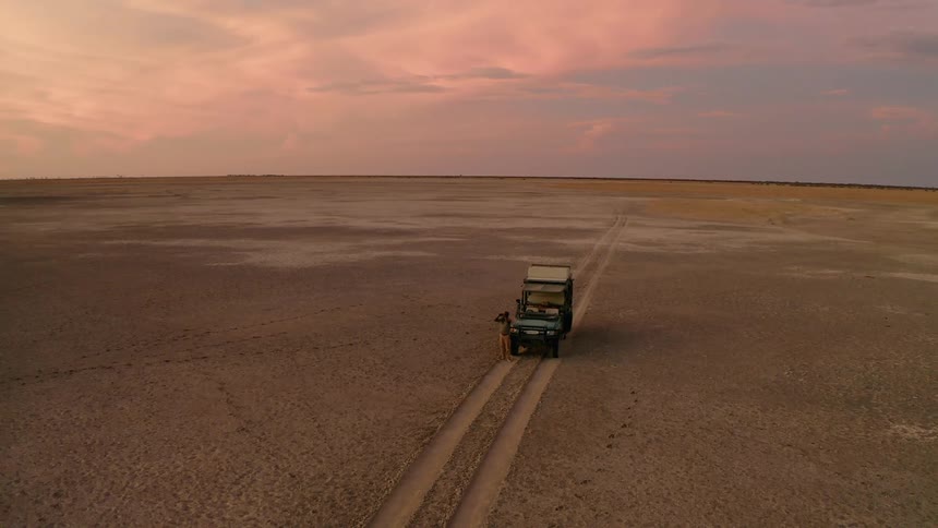 A person standing next to a vehicle parked on vehicle tracks in a vast barren landscape