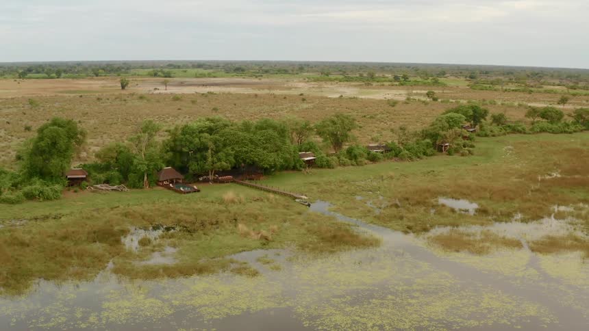 A few houses are lined on the swamp edge