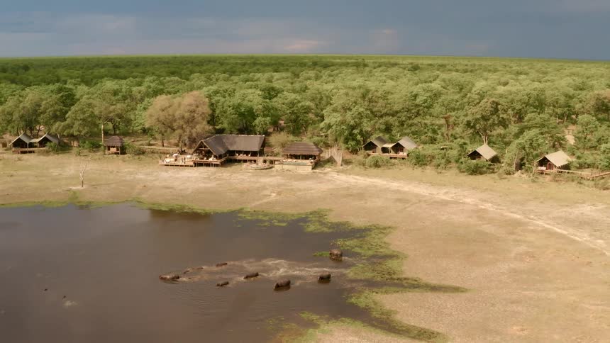 Landscape view of animals wading in a pond in a rural area