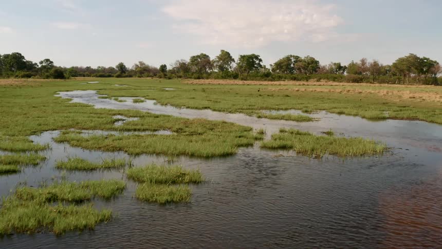 An aerial view of water rippling on a marsh