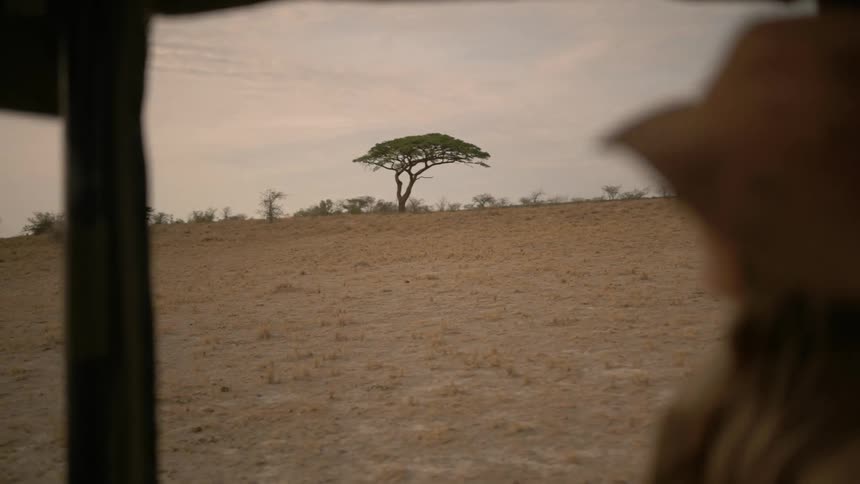 A tour of the wilderness
