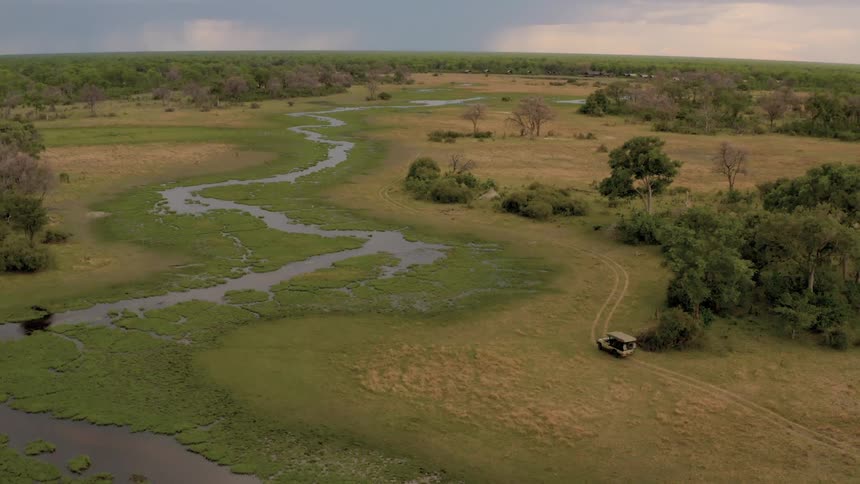 An aerial view of a jeep driving on a safari