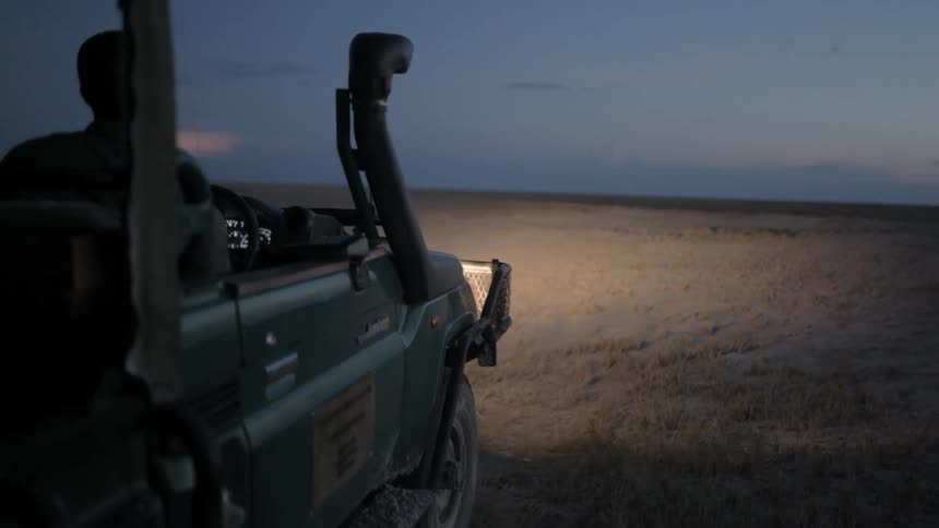 Ranger driving all terrain vehicle through savanna at sunset