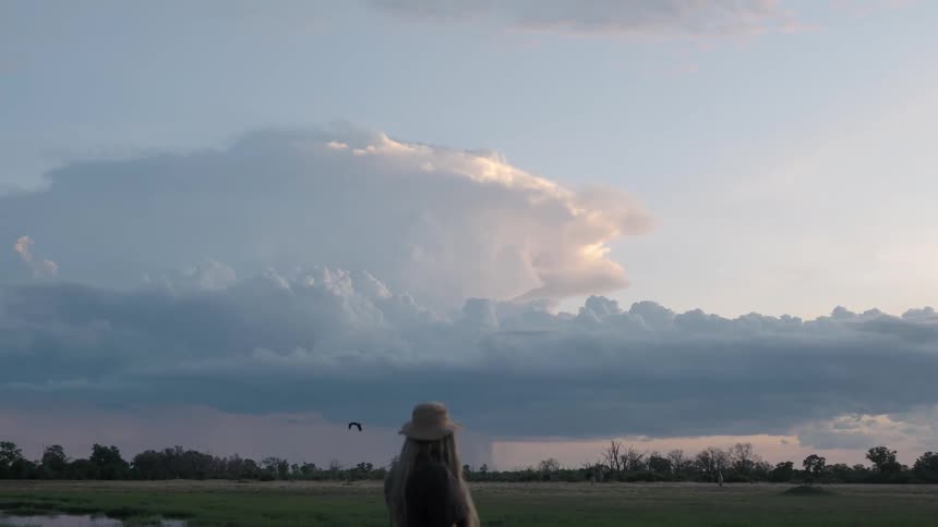 A person standing outdoors walking a bird fly across a field