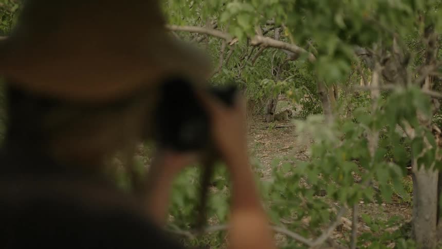 A man looks through a camera in the woods