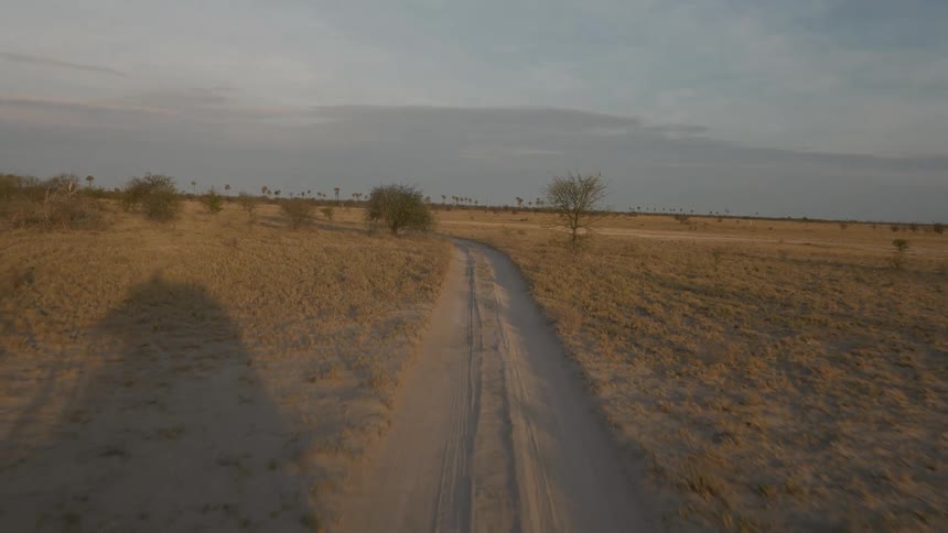 A dirt road lays in the middle of a plain