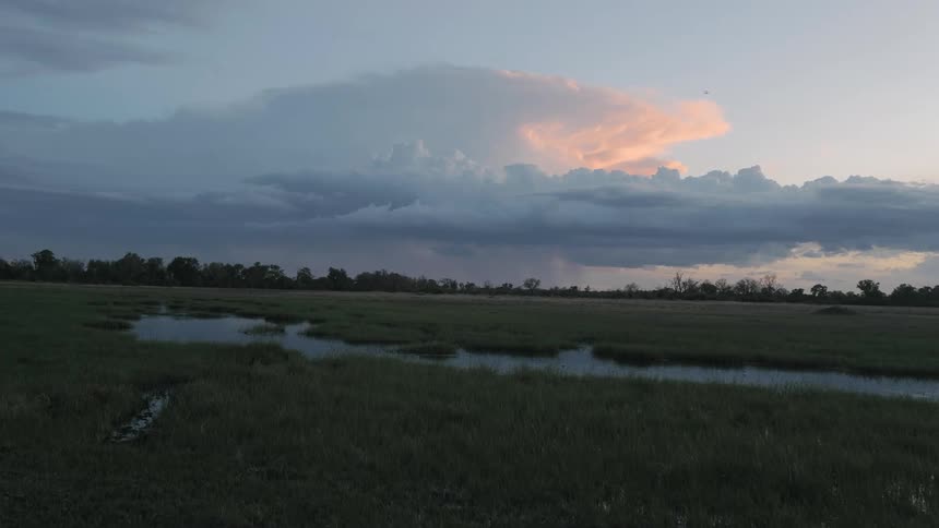 A field with a small body of water in the center during the evening