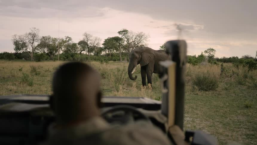 A man is parked in his jeep watching an elephant