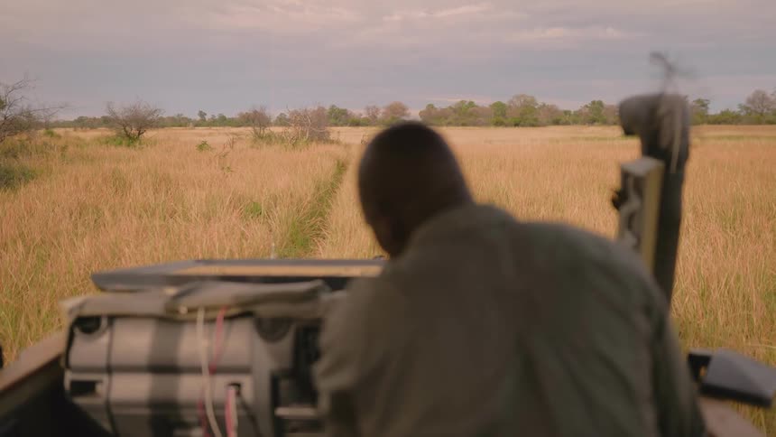 A man gets into a safari jeep parked in tall grass