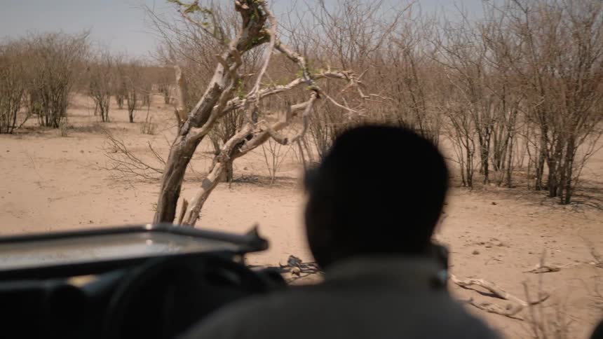 Man driving through a field of dead trees in an open jeep
