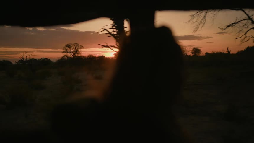 A person looking out at the savanna while riding in a vehicle