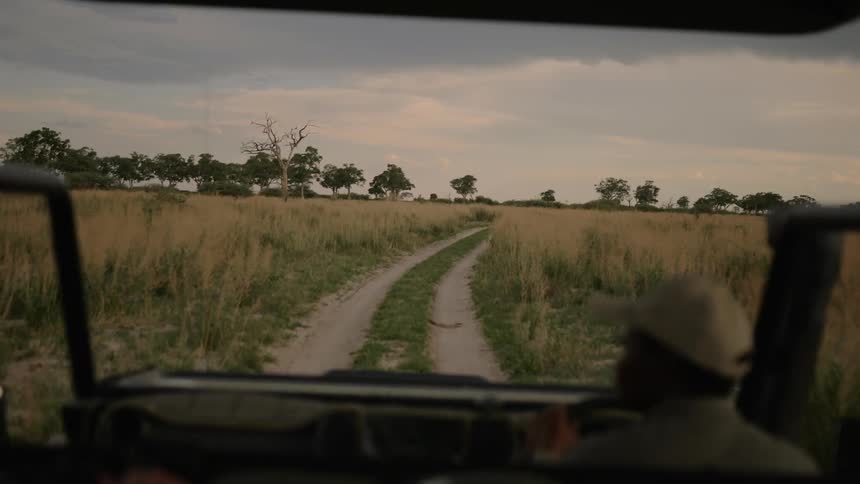 A man driving a vehicle along tire tracks in a savanna