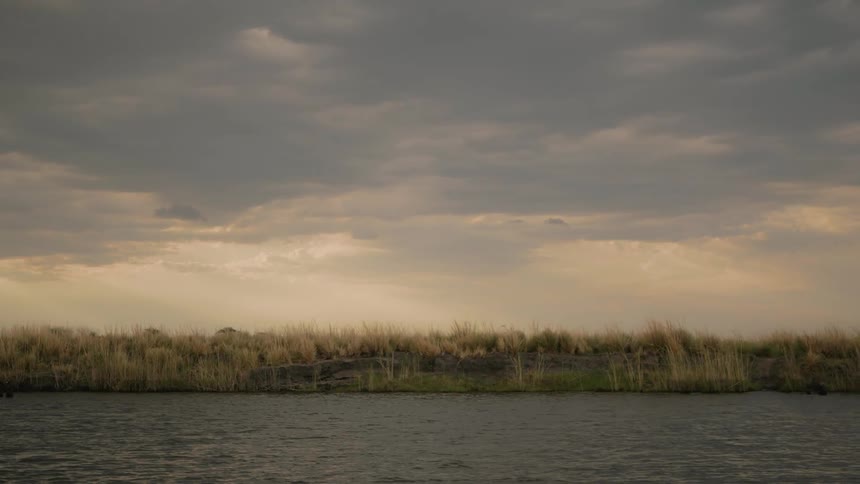 Landscape view of water and the grassy shore