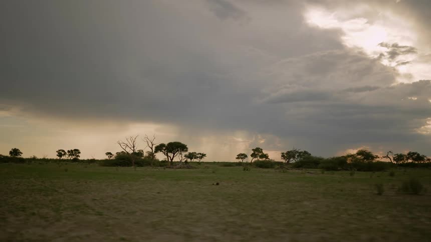 Landscape view of savannah grassland at sunset on cloudy day