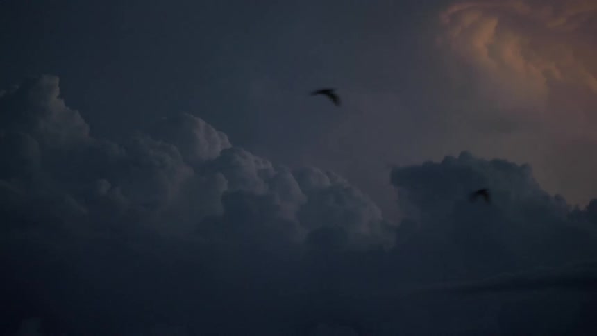 Birds flying across a dark and cloudy sky