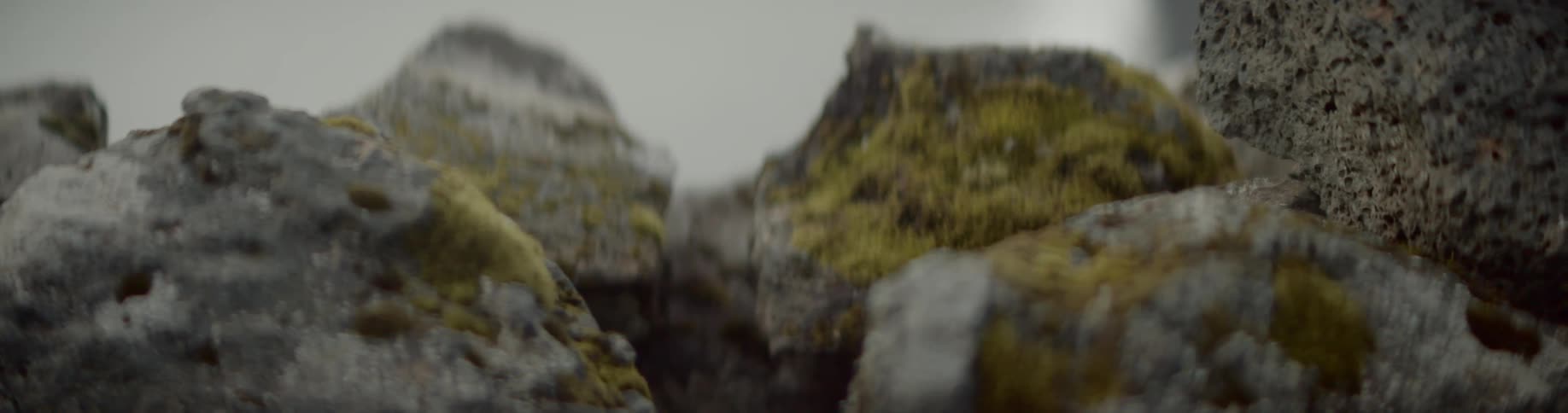 Moss covered rocks
