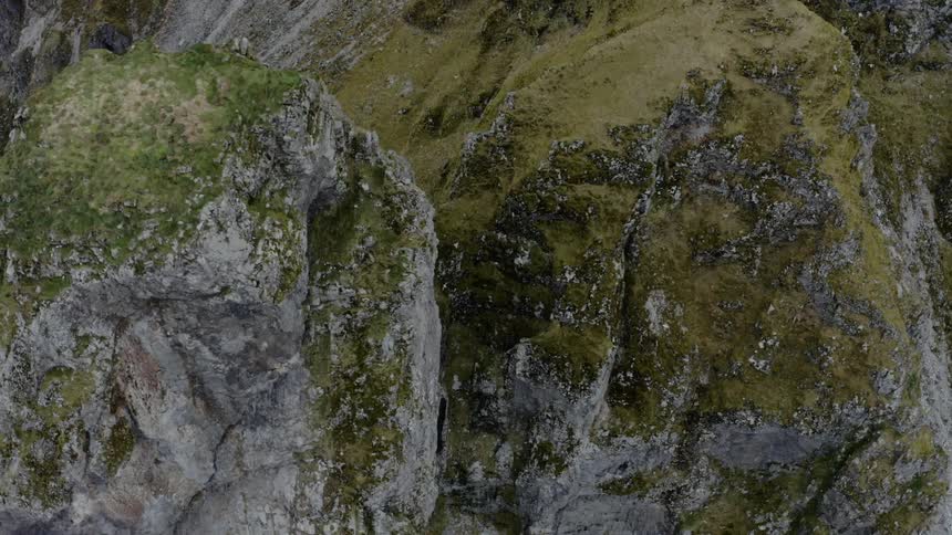Birds fly over the grassy mountain tops