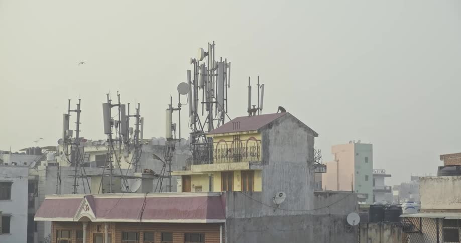 Birds fly around a factory as monkeys climb on the roof