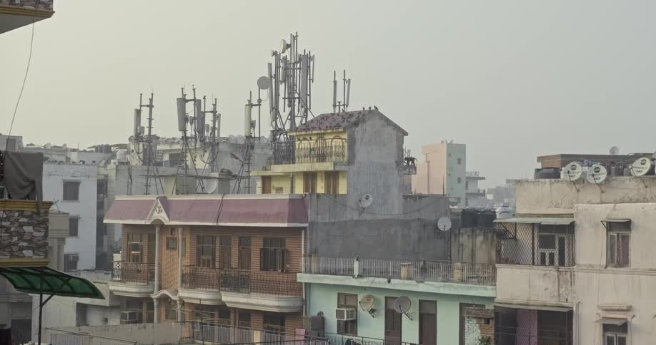 Monkey climbing across rooftops in india