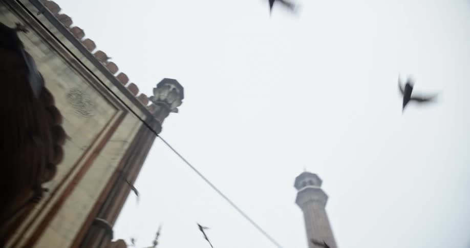 Flock of birds fly across sky in front of Jama Masjid of Delhi