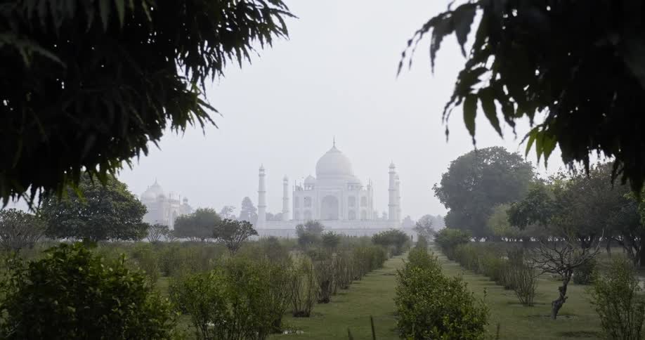 Wide shot of taj mahal through bushes and trees