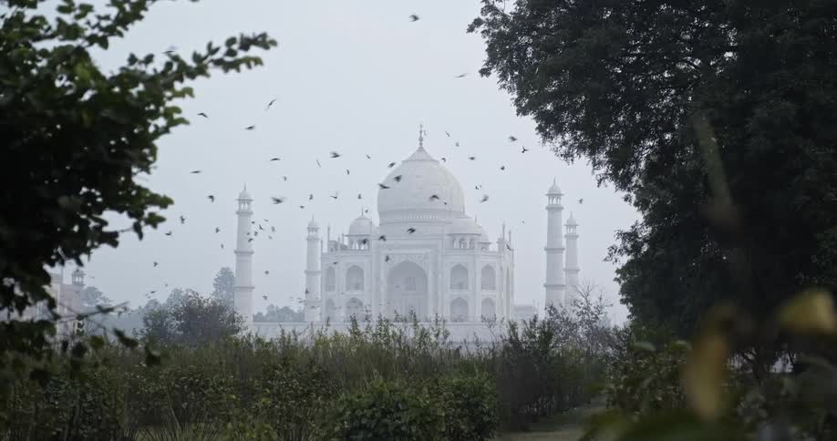 Birds fly near the taj mahal