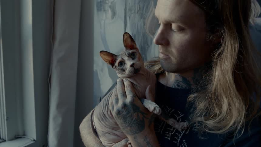 Man holds a sphynx cat in front of window inside house