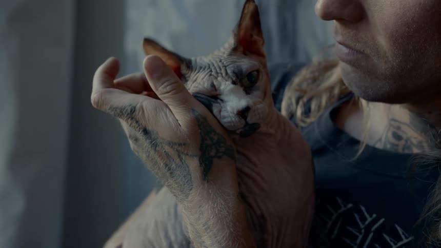 A man with tattoos petting a hairless cat